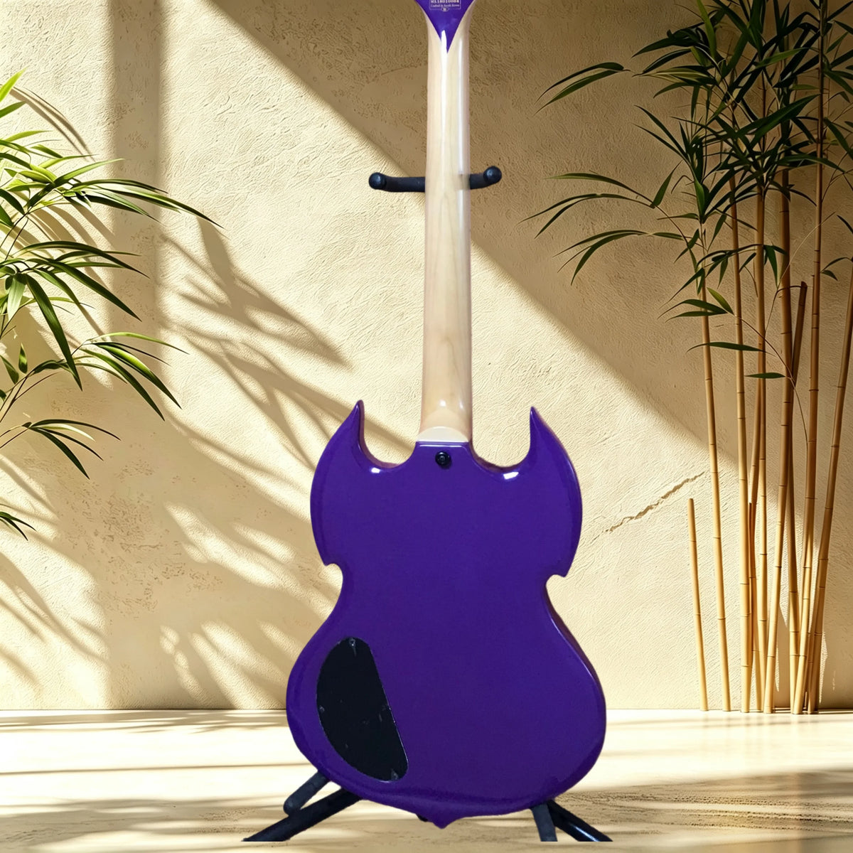 Zakk Purple